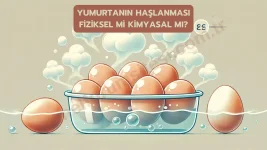 yumurtanin-haslanmasi-fiziksel-mi-kimyasal-mi.webp