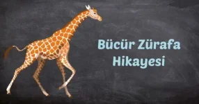 1785951075297.webp